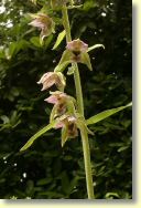 2009-07-12-9944-B.jpg