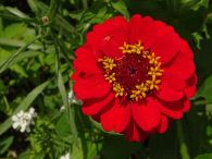 2017-07-14-DSC08817.jpg