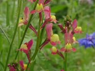 2017-07-14-DSC08864.jpg