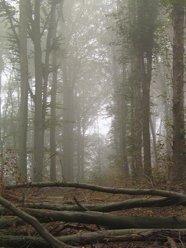 212_0507g5.JPG