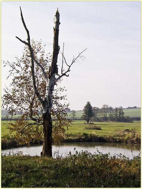 2009-11-02-CRW_9617-g5.jpg