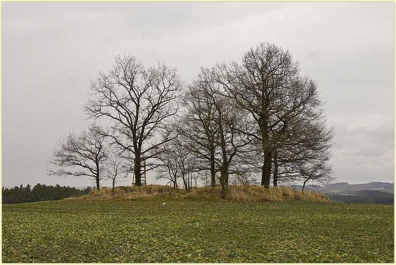 2010-03-23-CRW_0803.jpg