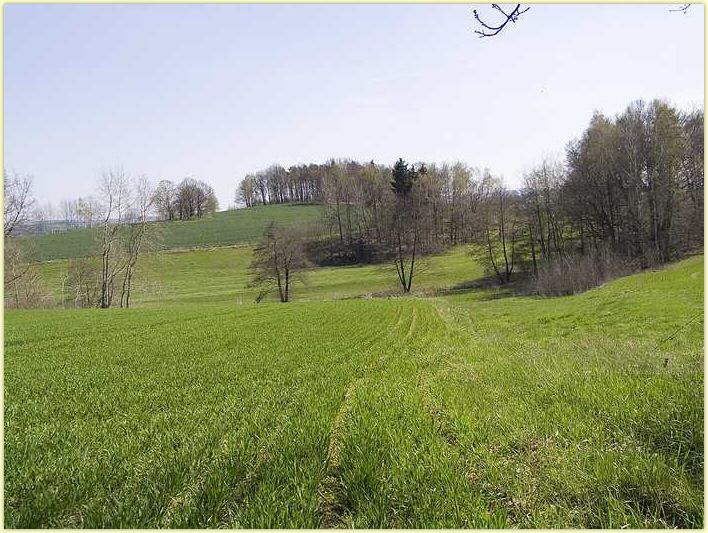 2010-04-25-CRW_9798-g5.jpg