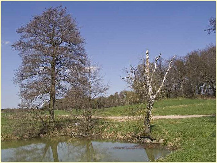 2010-04-25-CRW_9806-g5.jpg