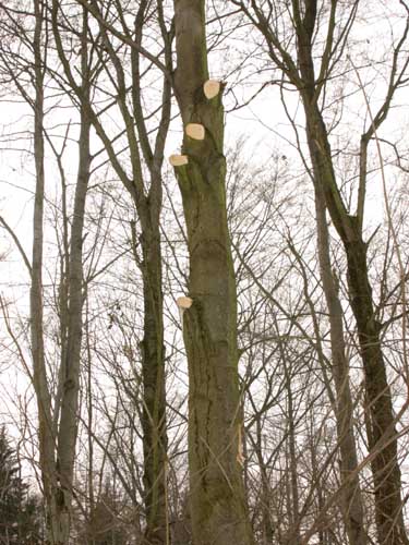 217_1763.JPG