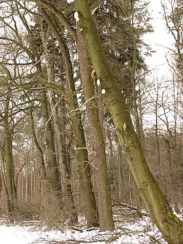 217_1764.JPG