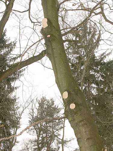 217_1765.JPG