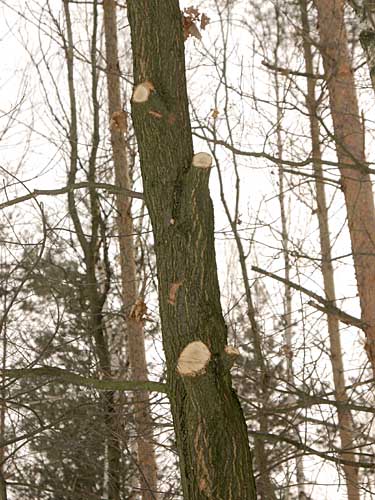 217_1776.JPG