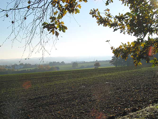145-4569_IMG.JPG