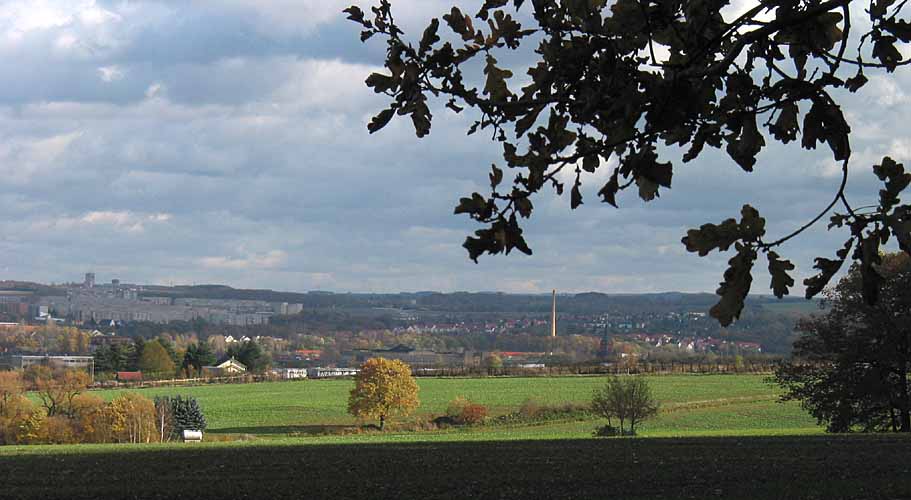 146-4629_IMG.JPG