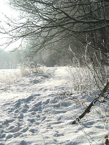 151-5149_IMG-Bx.jpg
