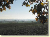 145-4567_IMG.JPG