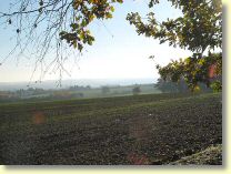 145-4569_IMG.JPG