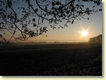 146-4634_IMG.JPG